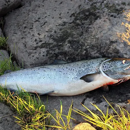 Värdshus Lempean Suvanto